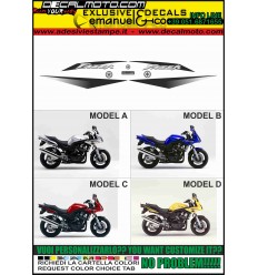 FZS 600 FAZER 2002 2004